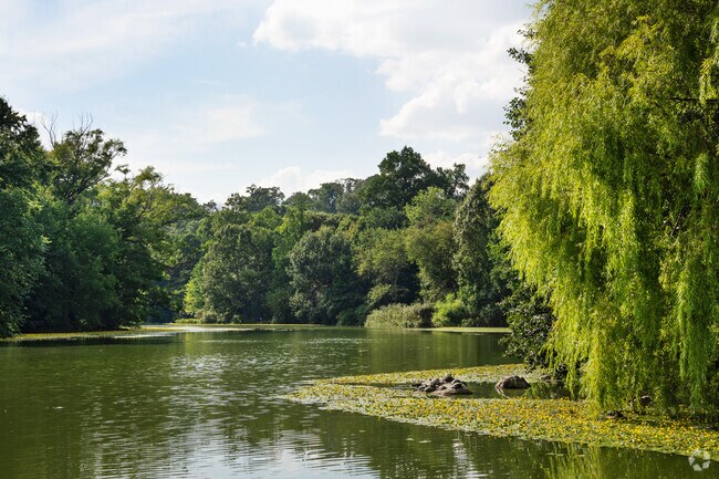 The bucolic lake in Prospect Park close to Lefferts Gardens has wildlife including turtles.