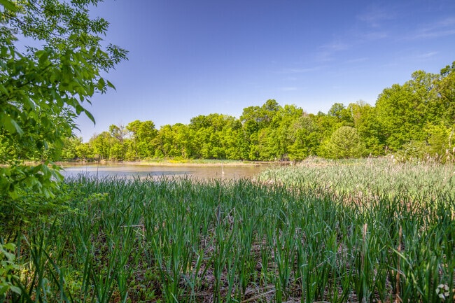 Putney Pond and Woodlands Park is a wildlife haven in the Prospect neighborhood.