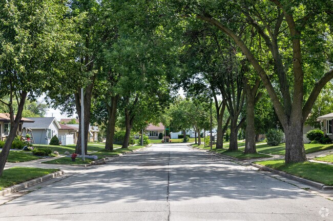 A gorgeous tree-lined street in Mitchell West.