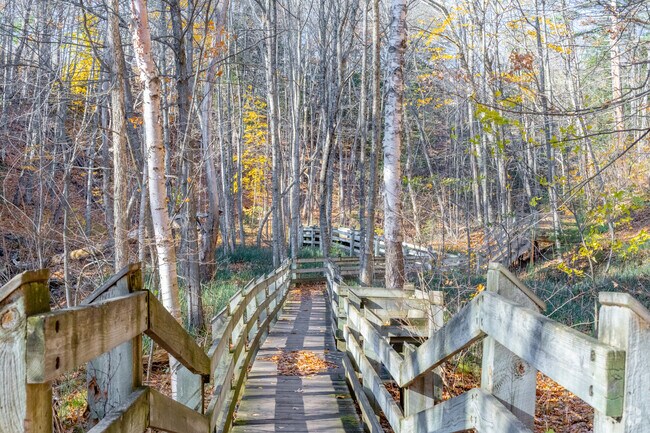 Iron Bridge serves as a shaded walking path in Bayfield.