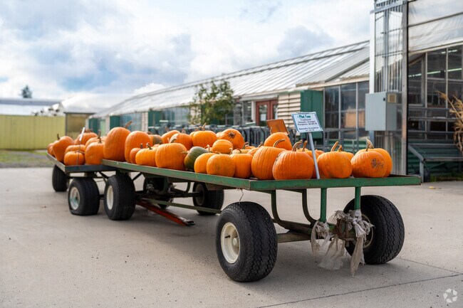 The Plant Farm offers local gardening supplies within the Veradale neighborhood.