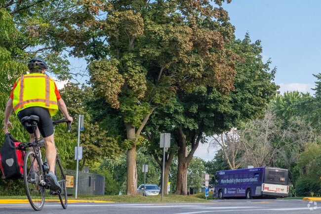 You can get around by bus or bike in Arbor Hill, Madison.