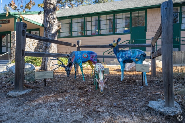 Creativity is encouraged at Idyllwild School.