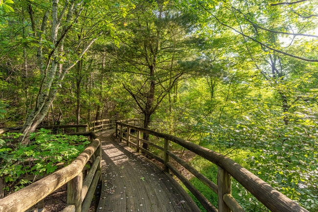 Coal Mining Heritage Park loop trails have amazing natural views all around in Blacksburg.