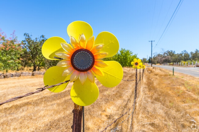 Wilton is a safe and quiet Northern California community.
