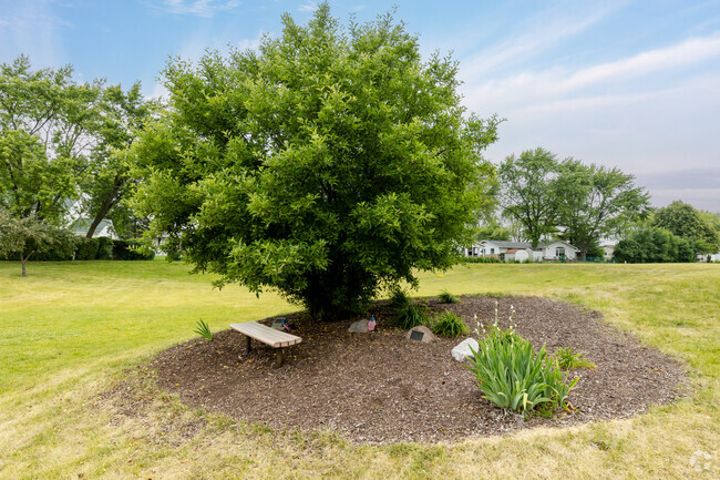 There is a pleasant outdoor area located behind Grove Junior High School.