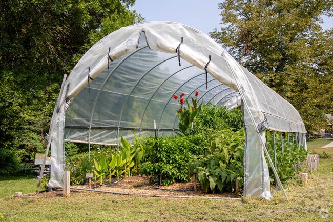 The Big Garden is a network of 200+ community gardens.