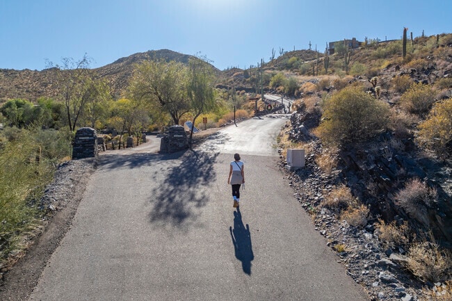 Hiking Black Mountain is a rewarding challenge with stunning desert vistas in Cave Creek.
