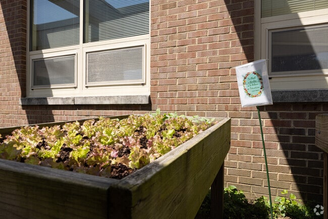 Key Middle School students can try out their green thumb in the school's garden.