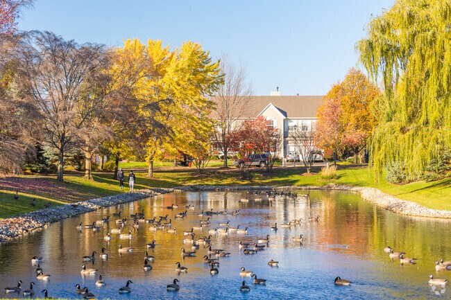 Wildlife live peacefully in the natural spaces within Oakwood Hills.
