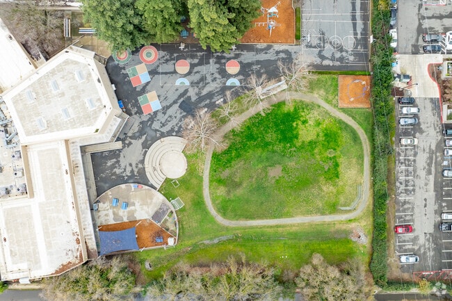 Shalom School is a lush and spacious school.