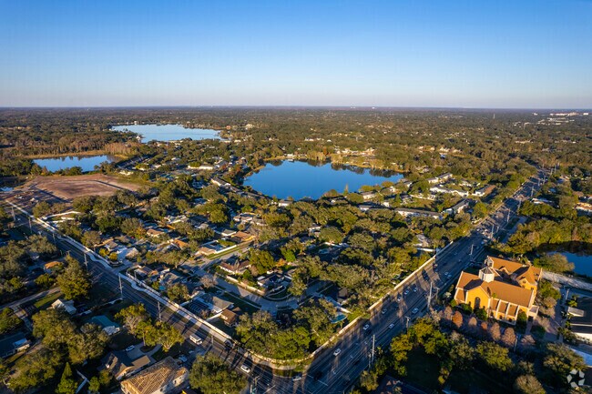 Overhead viewpoint in the Lake Magdalene neighborhood.