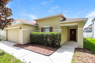 13511 Blue Sunfish Ct, Riverview, FL 33569