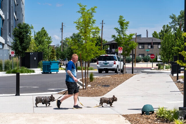 The RED District within The Grove is a popular spot to tour your dogs around.