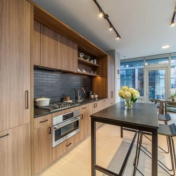 Parc Chestnut unit 803, Chicago, IL 60610 - photo 1