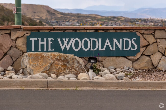 Hilltop views in The Woodlands showcase Castle Rock’s natural beauty.