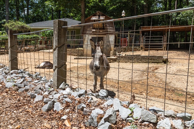 Counterpane School animals in South Fayette County.