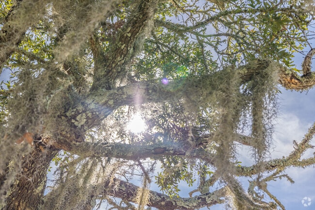 The beauty of Gautier, MS is just around the corner.