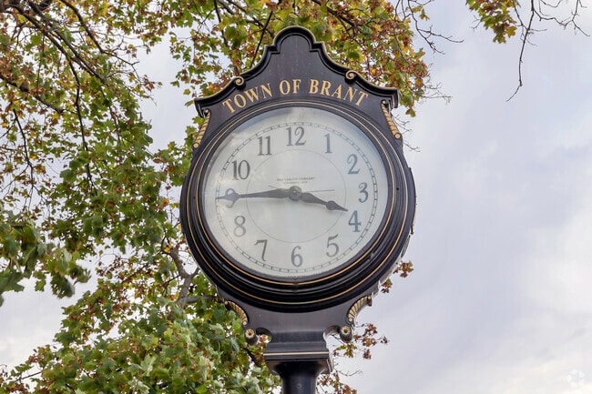 One of the many artistic representations of Brant, NY.