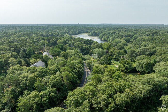 A winding road surrounded by lush trees rests quietly in Hatchville.