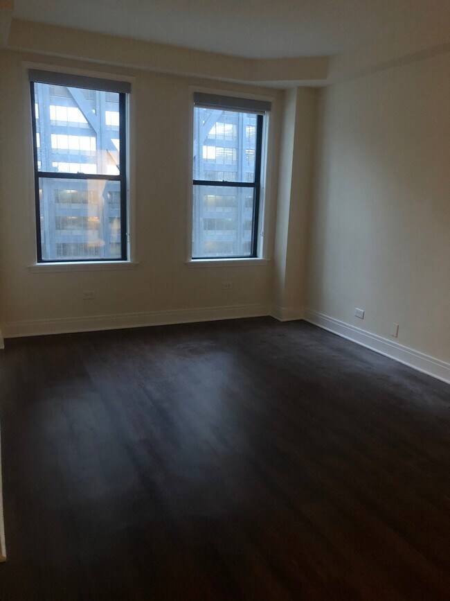 Plaza on Dewitt unit 307, Chicago, IL 60611 - photo 5