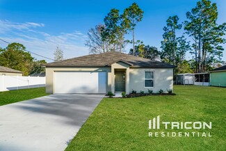 11167 Nexus St, Spring Hill, FL 34609