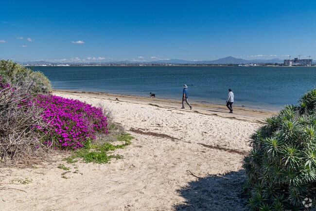 Less busy than the Silver Strand's ocean beach, the bay beach is dog friendly too.