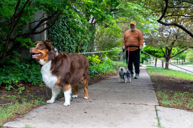 Sidewalks give Crown Heights residents ample space to walk.