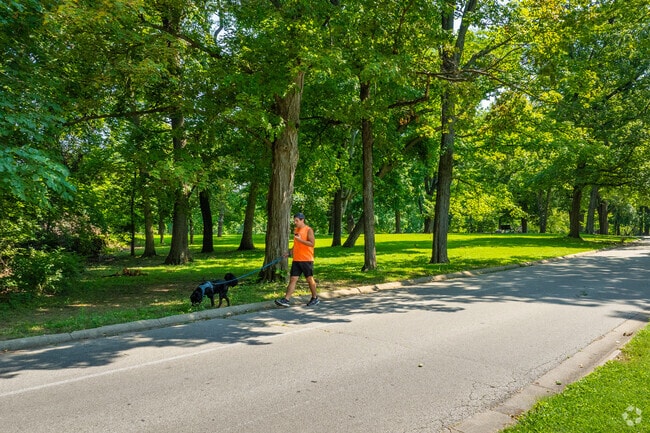 Take your dog for a scenic walk around the expansive Washington Park.