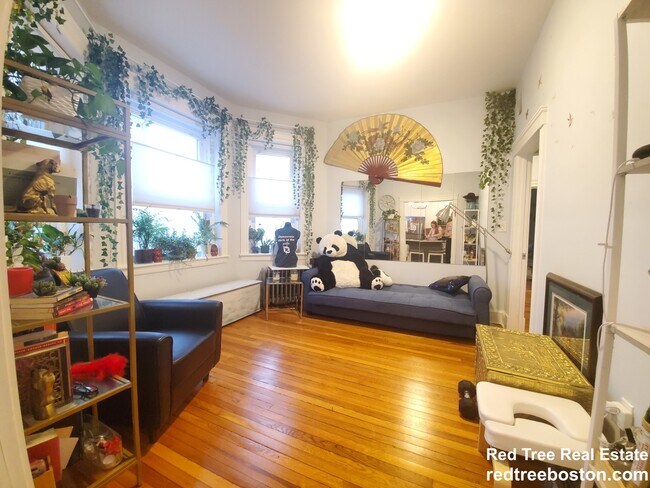 76 Strathmore Rd, Brighton, MA 02135 - photo 3