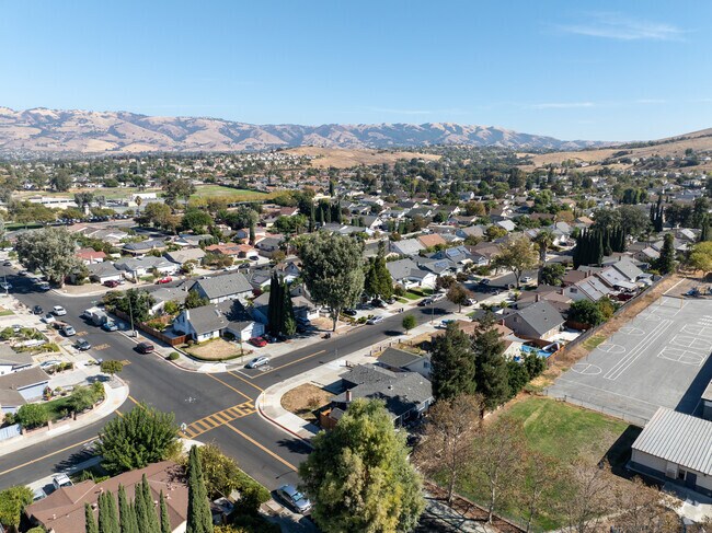 Experience versatile living with Dove Hill’s mix of charming home styles.