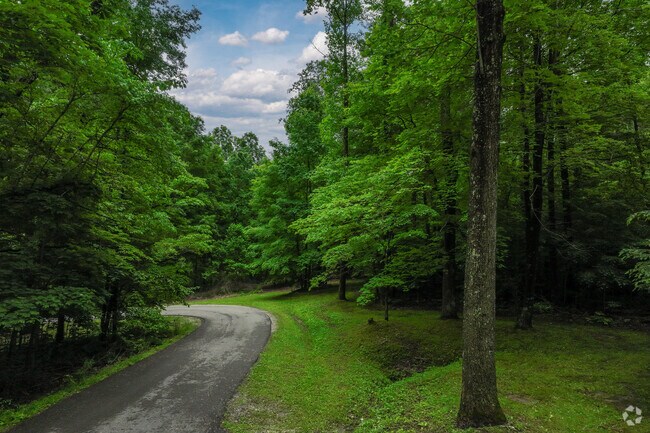 Owen-Putnam State Forest is a go-to for those in Patricksburg seeking solitude and outdoor recreation.