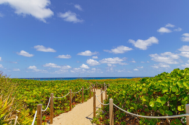 Lush pathway leading to the stunning shores of Gulf Stream.