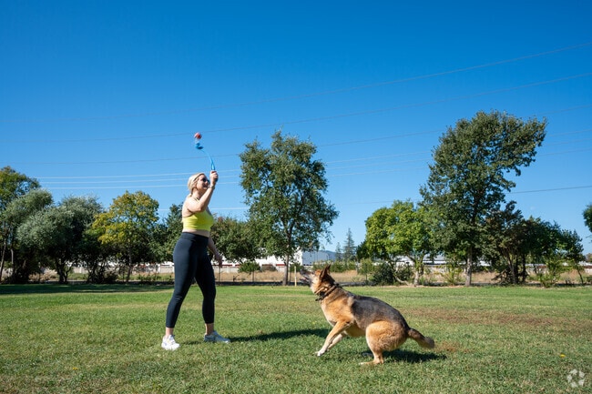 Joyfully tossing the ball for her energetic pup.