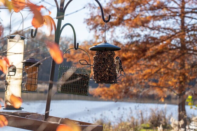 The Watershed Nature Center is a great spot for bird watching in Edwardsville.