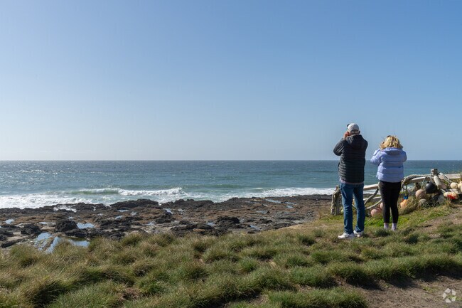 Watch for whales and otters from Ocean View Park in Yachats.