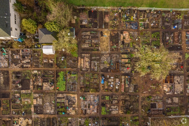 Garden shot from a zoomed out perspective in Buckman, Portland, Oregon.