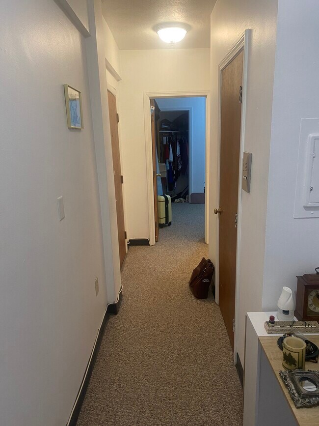 36 Edgerly Rd unit 2, Boston, MA 02115 - photo 4