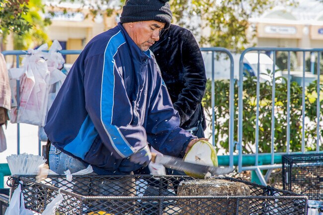 Enjoy some fresh coconut juice when you attend the Pinellas Farmers and Flea Market.