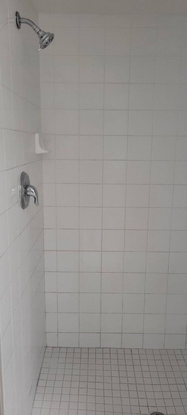 Master Shower