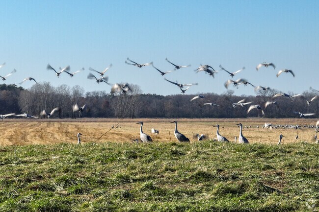 Residents of Barkley enjoy bird watching at nearby wildlife areas.