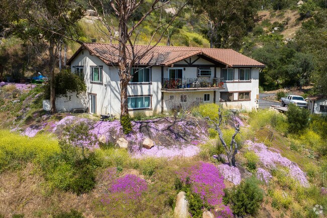 Large single family homes are common in Lake Wohlford.