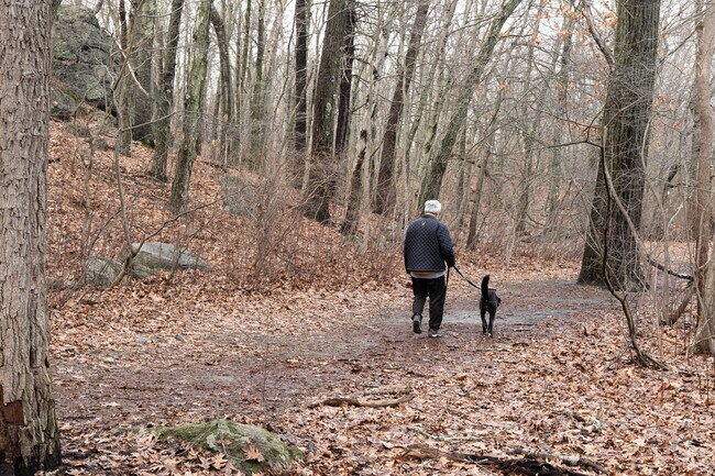 Chestnut Hill residents can enjoy the scenery at Hammond Pond.