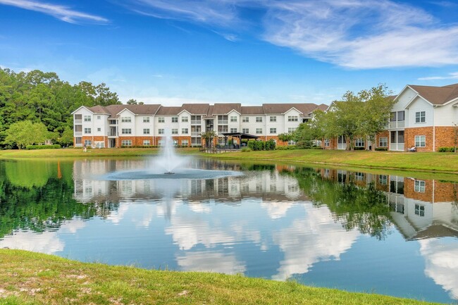 Beautiful Ponds