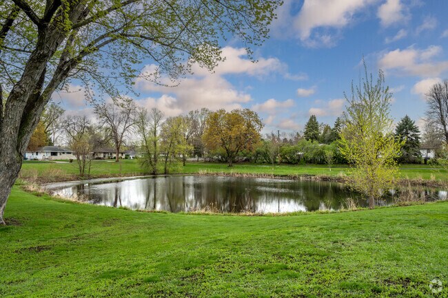 Enjoy the sights and sounds of the pond at Orchard Lane Park.