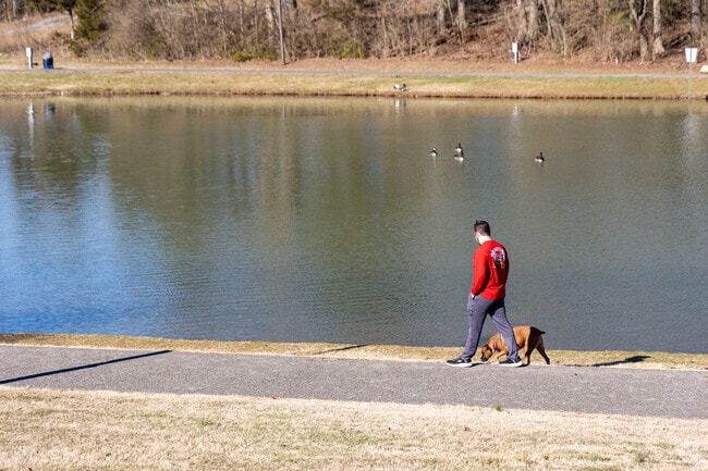 Take your dog out for a walk at Athens Regional Park.