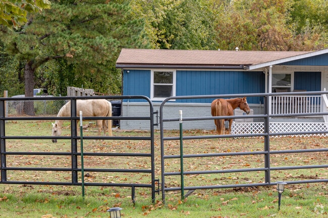 Horses are a common sight in Spring Meadows.
