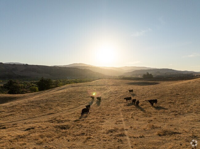 Expect plenty of sunshine in Hollister's arid, high-temperature summer months.