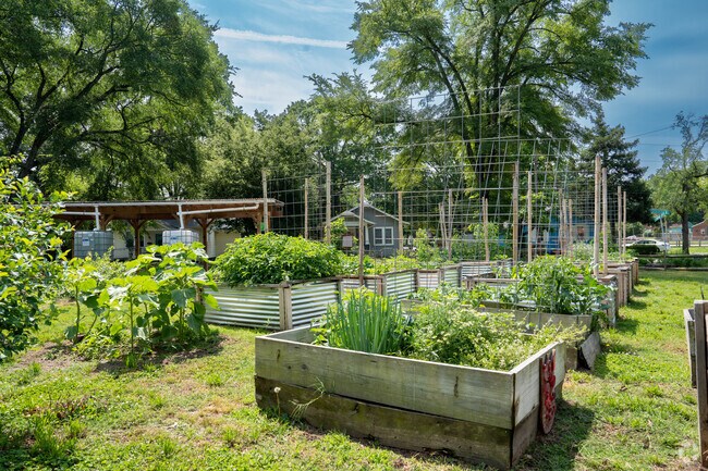 The community garden in Broad Rock is loved by many.