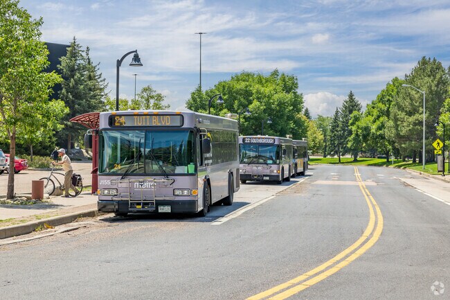 Catch the bus near the Citadel Mall in the Austin Estates neighborhood.